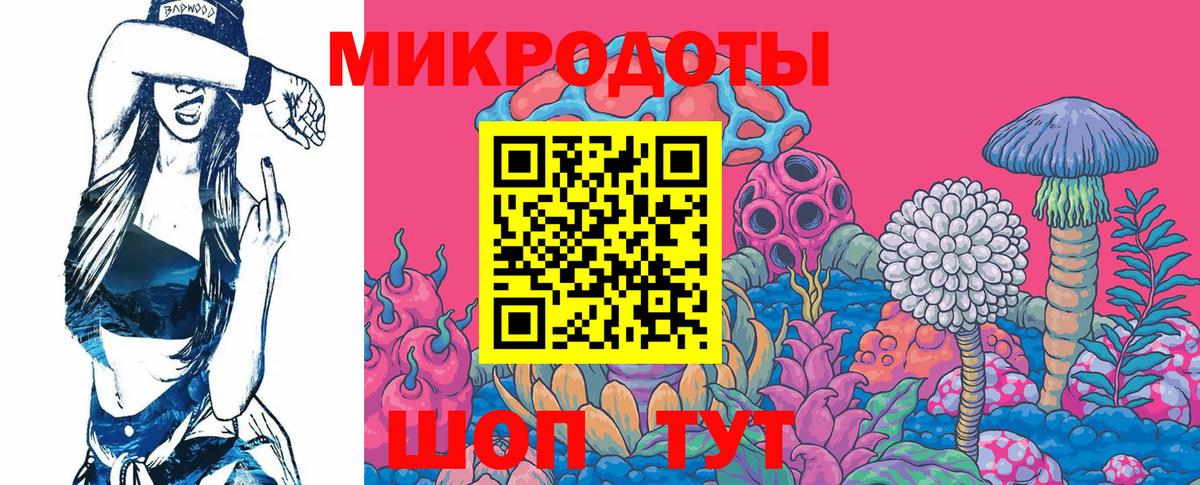 Галлюциногенные грибы Magic Shrooms Елец