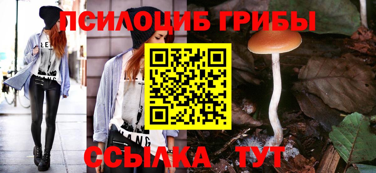 Псилоцибиновые грибы Psilocybe  Вход с VPN  Елец 